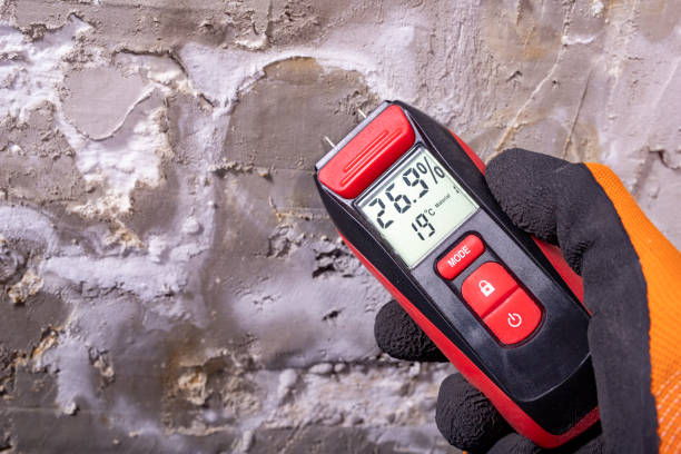 Best Mold Inspection  in Phillips, WI