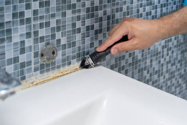 Best Fast Mold Removal  in Phillips, WI